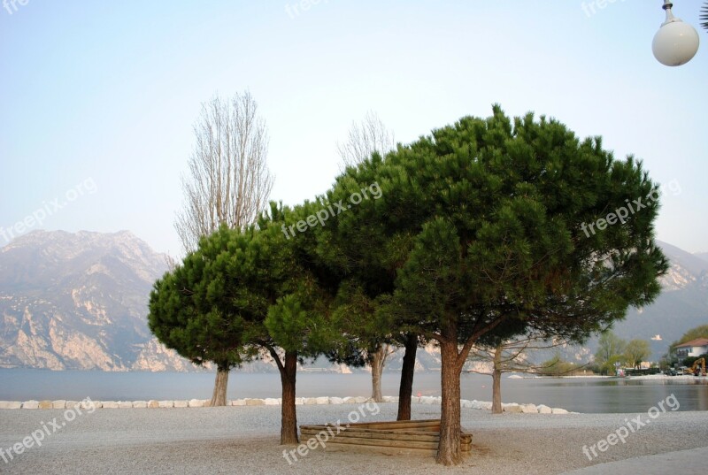 Mood Garda Trees Bank Lago Di Garda