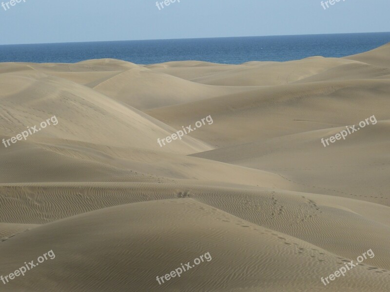 Beach Dunes Dune Sea Wave