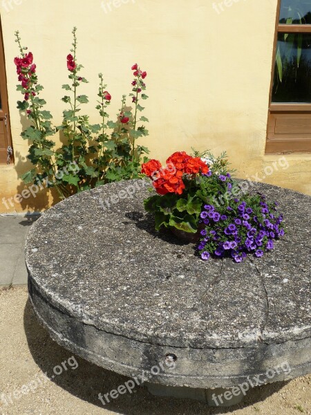 Mill Millstone Stone Disc Geranium