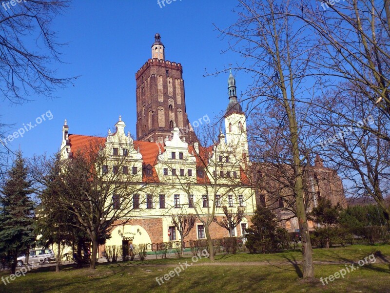 Town Hall Gubin Architecture Monument Gubin Poland