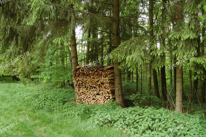 Firewood Holzstapel Stack Combs Thread Cutting Forest