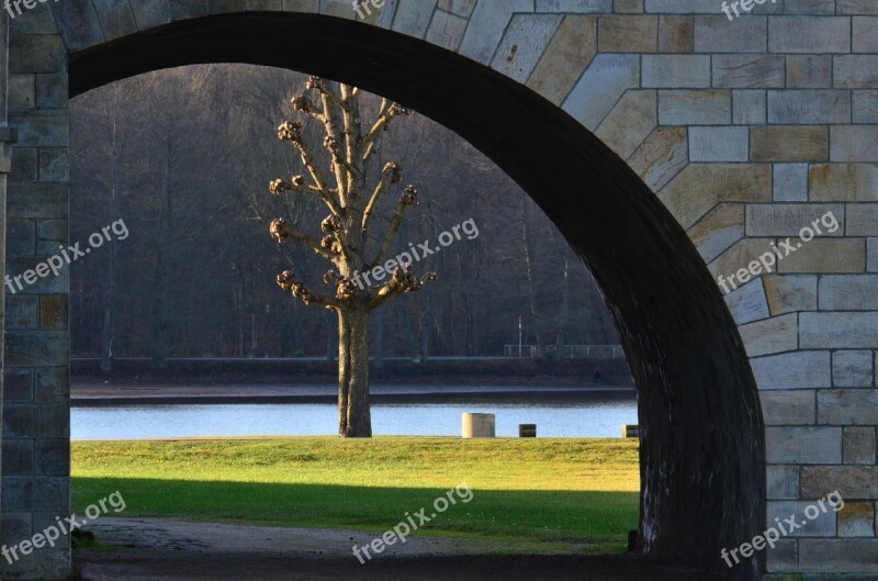 Castle Park Meadow Tree Park Schlossgarten