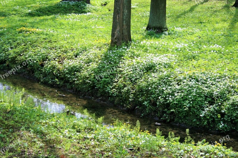 Trees Furrow Stream Water Grass