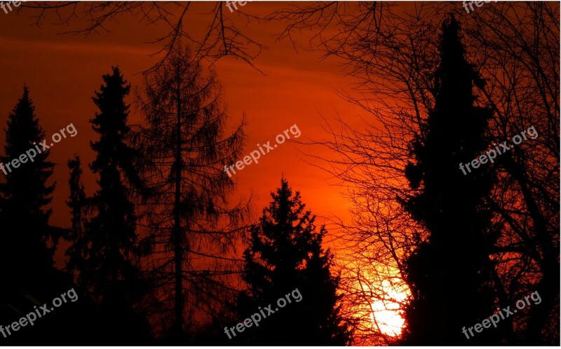 Sunset Afterglow Trees Sun Evening Sky