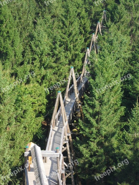 Treetop Walk Kopfing Innviertel Upper Austria Sauwald