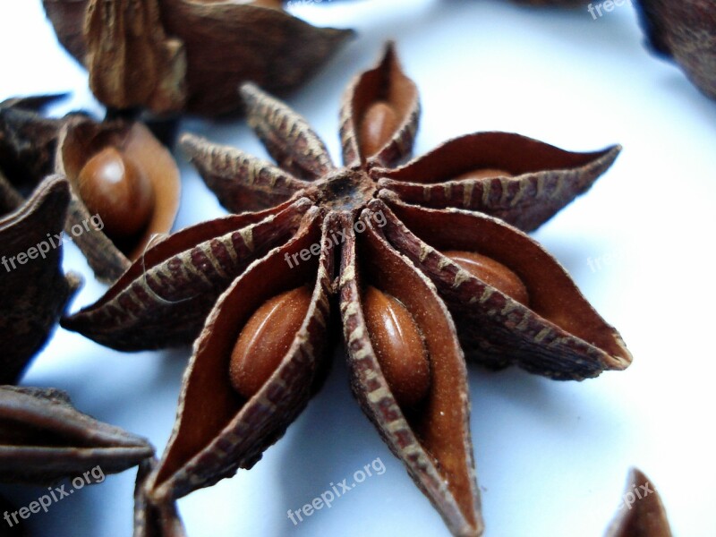 Badiyane Star Anise Chinese Star Anise Free Photos