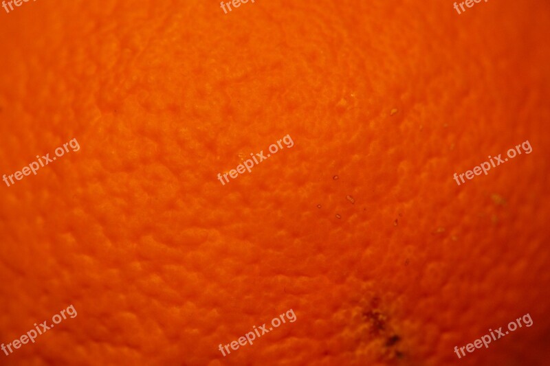 Orange Orange Peel Fruit Surface Structure