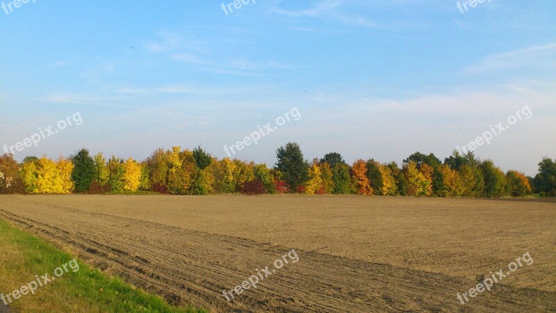 Autumn Nature Fall Foliage Farbenspiel Golden October