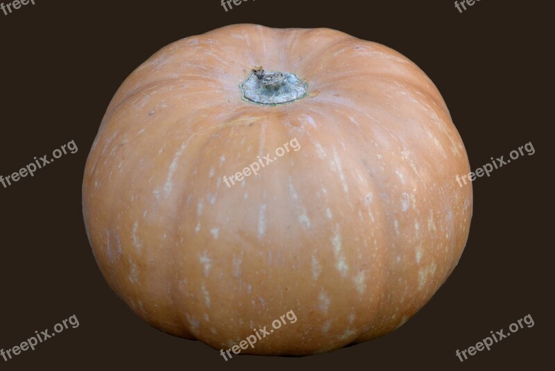 Pumpkin Vegetable Orange Free Photos