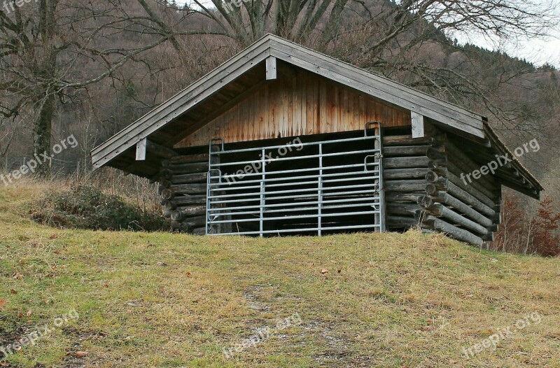 Building Shelter Cattle Shed Weather Protection Protection