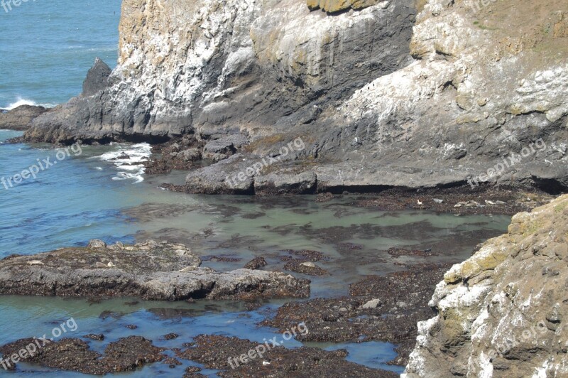 Coast Cliff Rocks Ocean Oregon