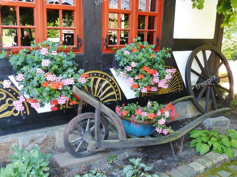 Geranium Flowers Cart Wheelbarrow Wheel