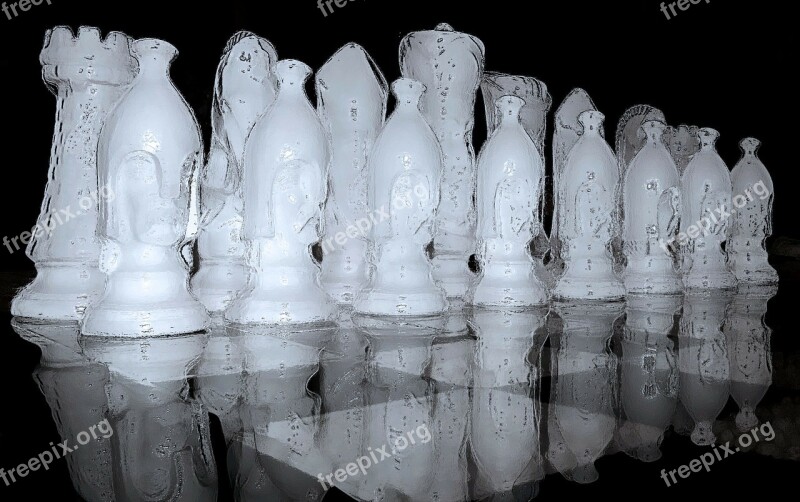 Chess Game Black White Chess Chess Pieces Ice