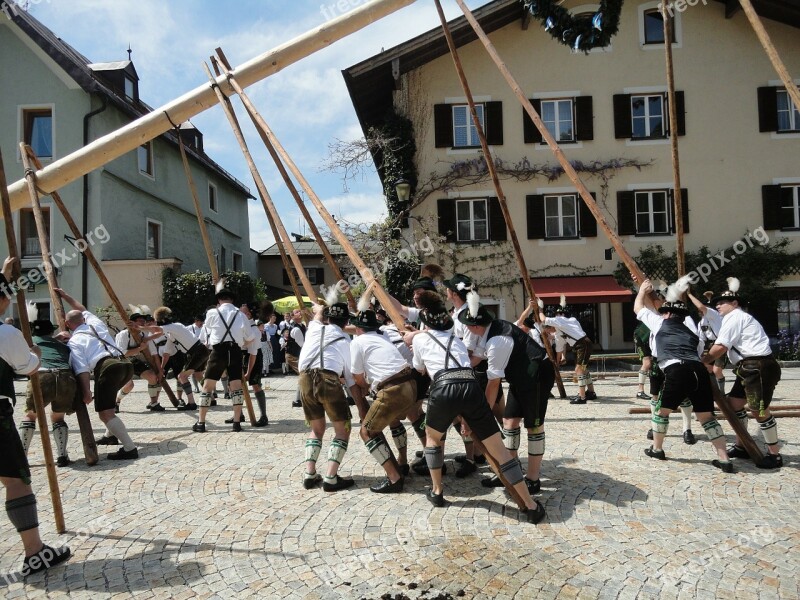 Maypole Bad Reichenhall 1 May Maypole Set Up Tradition