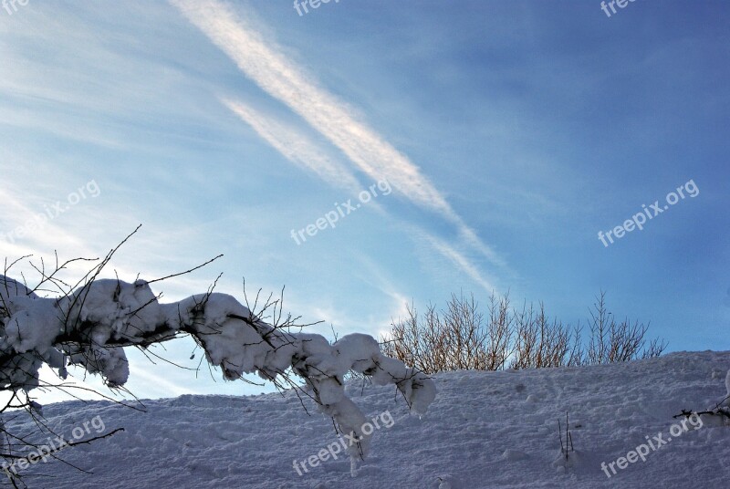 Construction Pole Branch Sky Snow Snow Magic