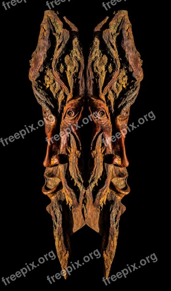 Tree Bark Bark Carving Wood Picture Portrait