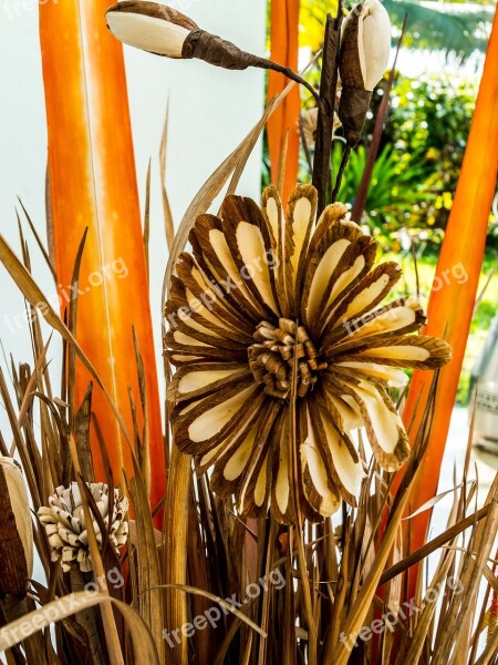 Dried Flowers Bouquet Grasses Free Photos