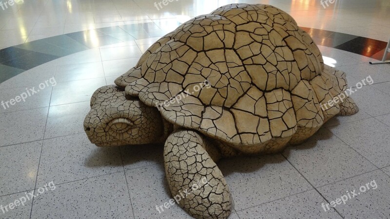 Turtle Las Vegas Airport Sculpture Free Photos