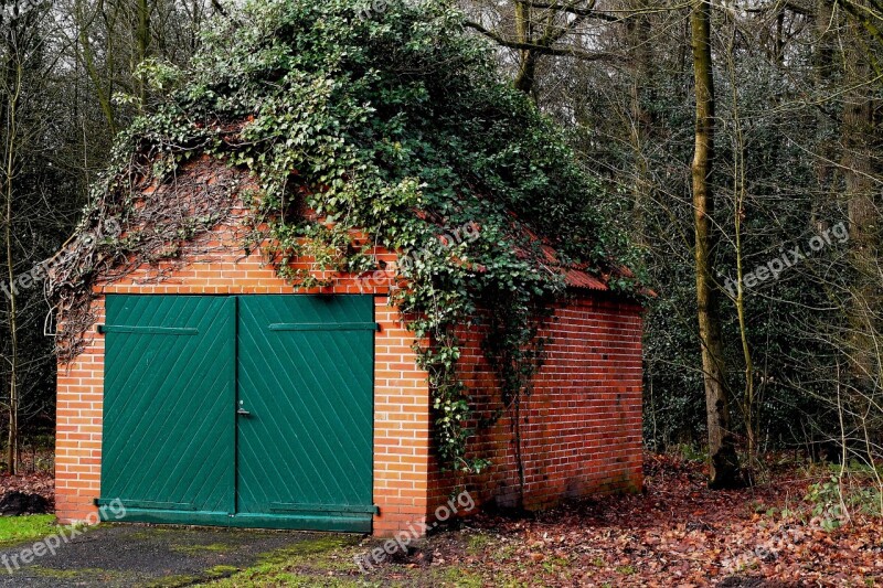 Building Garage Ivy Overgrown Bricks