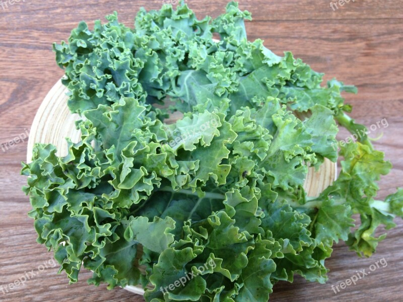 Kale Green Vegetable Curly Kale Plant