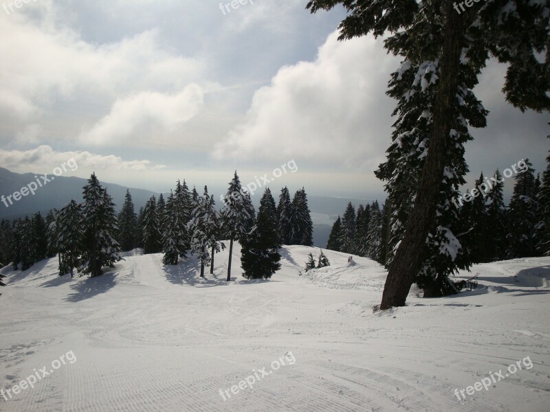 Snow Ski Hill Ski Run Winter Winter Sports