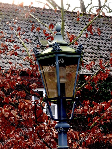 Lantern Lamp Historic Street Lighting Street Lamp Old