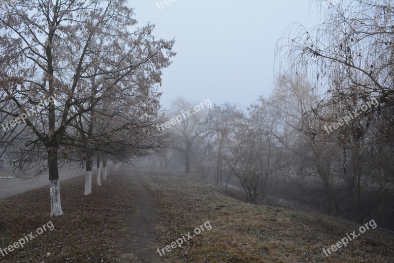 ștefan Vodă Gealair River Late Autumn Fog In The Morning