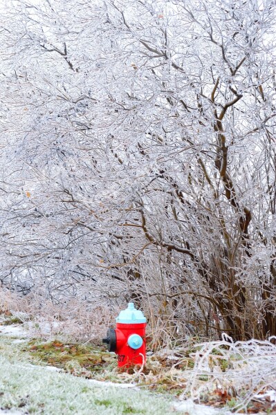 Water Hydrant Ice Branches Trees Winter