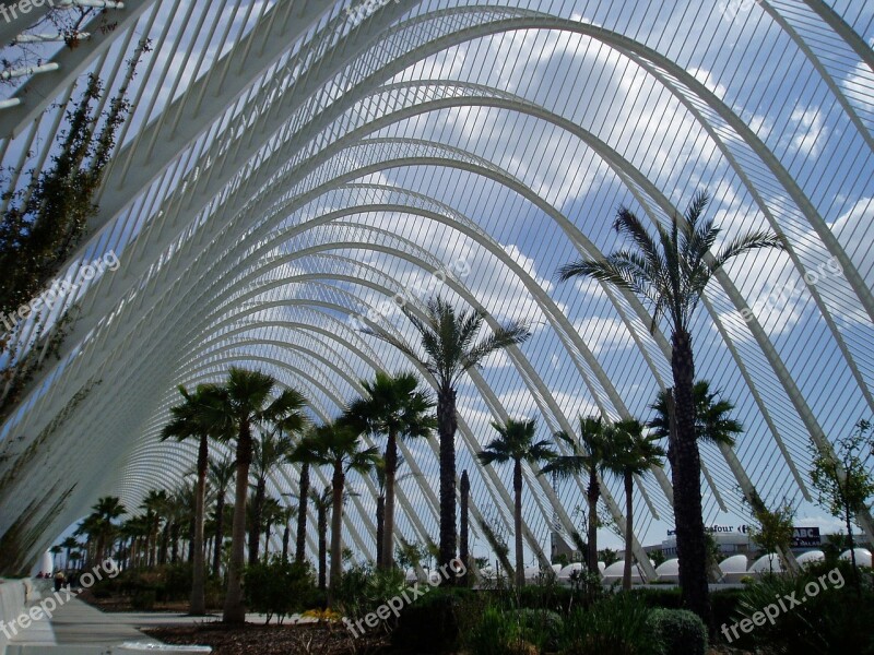 Valencia Modern Arch City Of Arts And Sciences Building Architecture