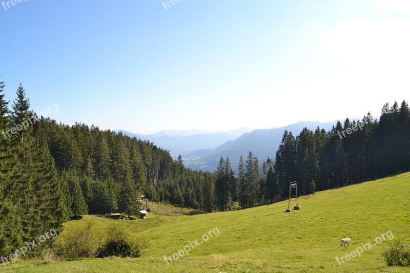 Alpine Mountains Meadow Pasture Free Photos