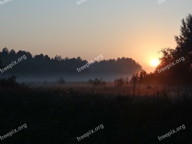 The Fog Meadow Morning Landscape At Dawn