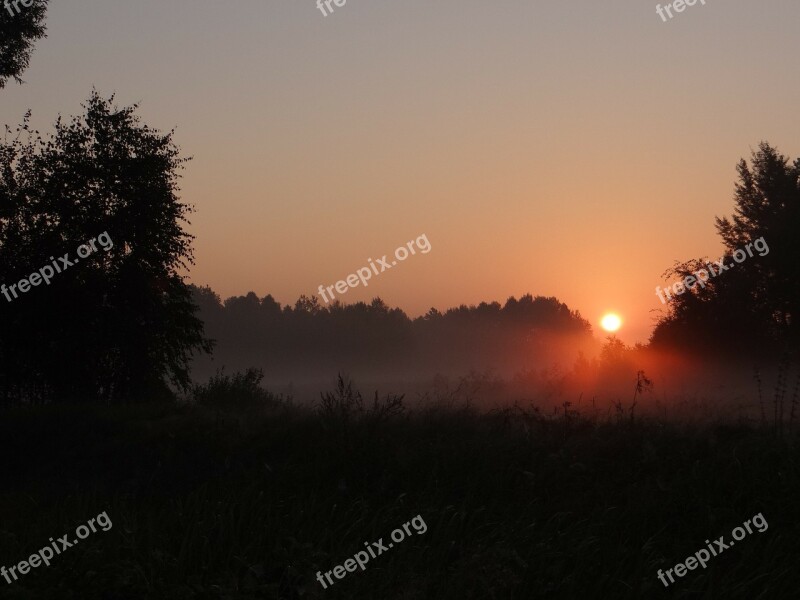 Dawn The Sun The Fog Meadow Free Photos