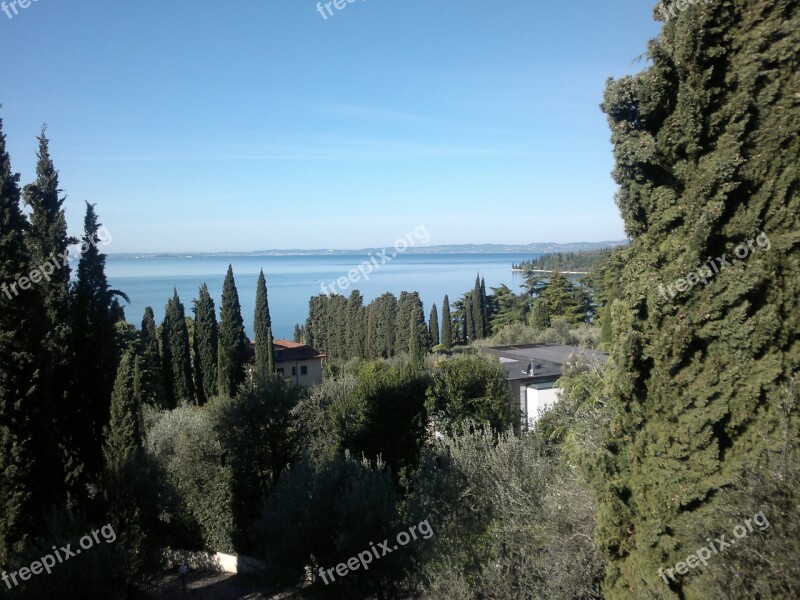 Garda Trees Lake Sky View