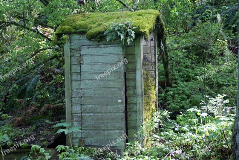 Outhouse Shed Building Toilet Woods