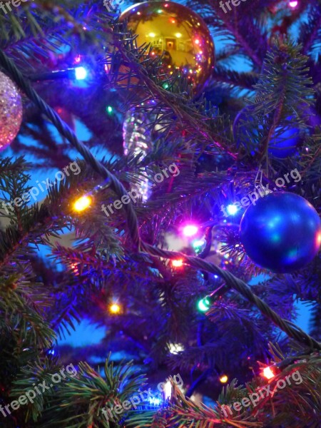 Christmas Baubles Christmas Tree Lights Holidays Twigs Needle