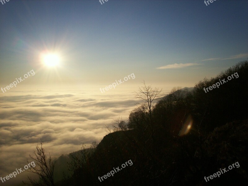 Inversion Tar Stone Beech Hg Forest Fog