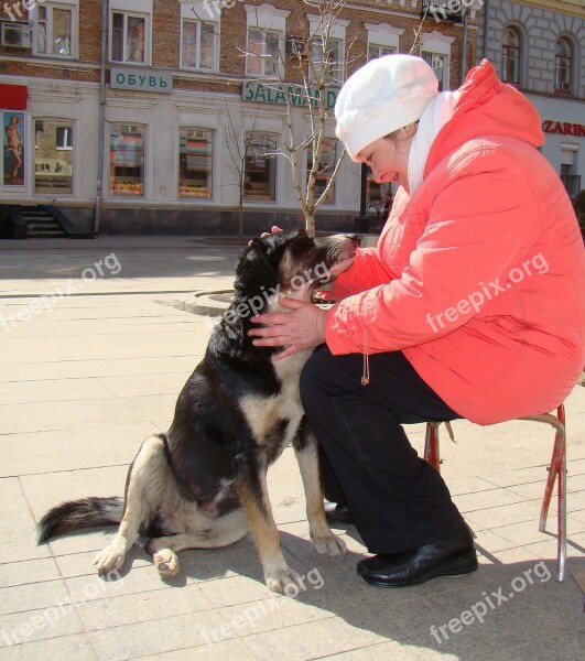 Dog Sitting Mistress Street Sun