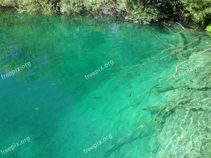 Plitvice Lakes Fish Nature Lake Croatia