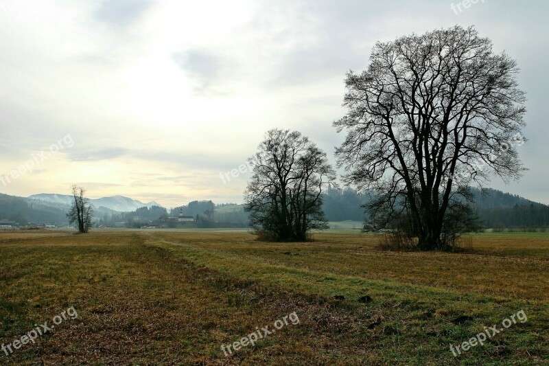 Landscape Upper Bavaria Mood Trees Wide