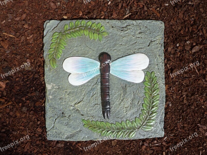 Stone Tile Dragonfly Insect Nature