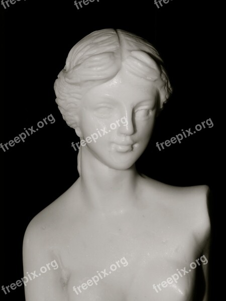 Statue Marble Carrara Bust Figure