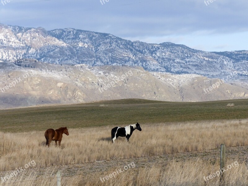 Rollig Hills Mountains Kamloops British Columbia