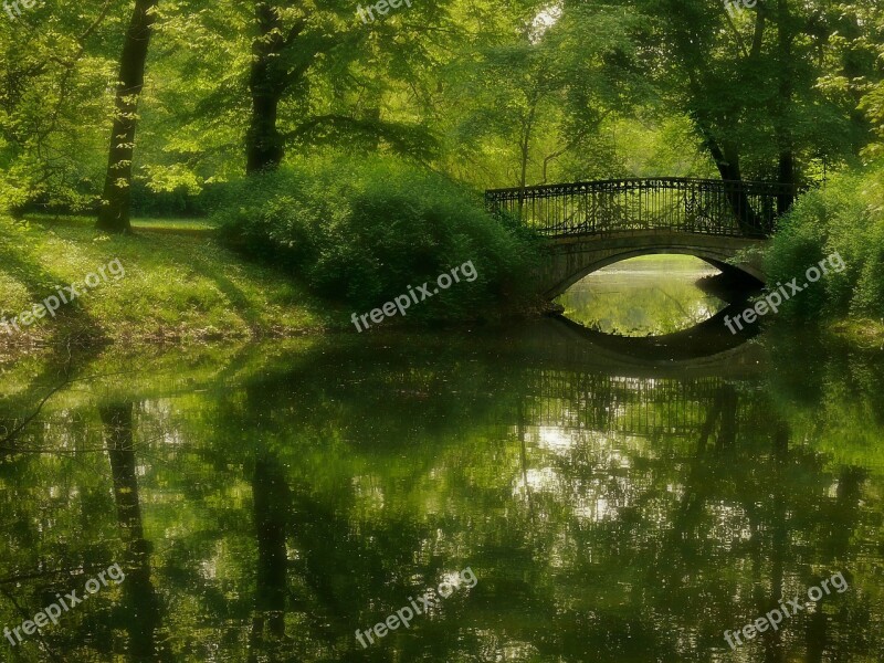 Park Green Bridge Pond Free Photos