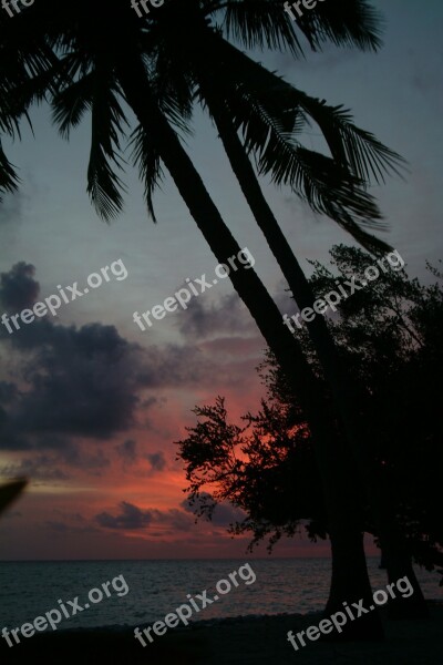 Maldives Beach Sunset Free Photos