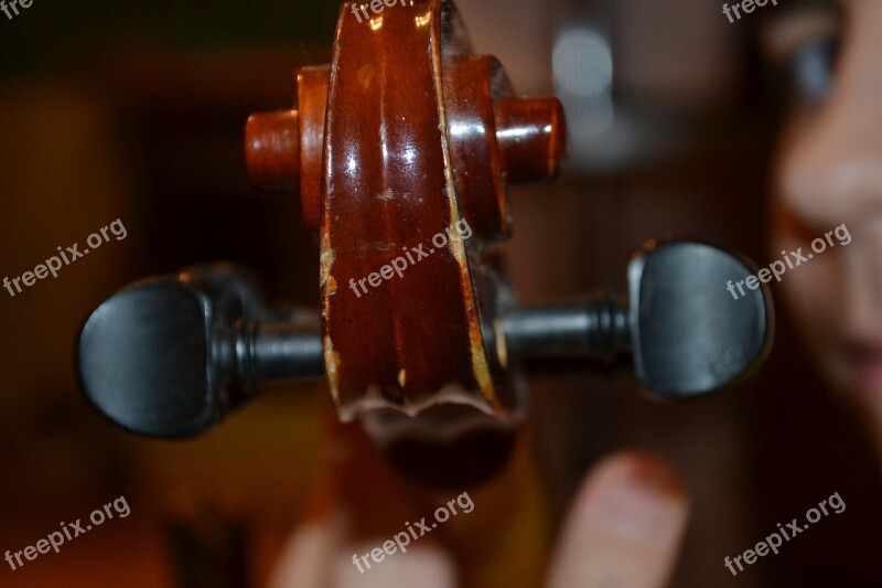 Violin Music Concert Stringed Instruments Free Photos