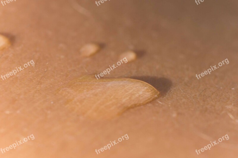 Drip Skin Close Up Macro Free Photos