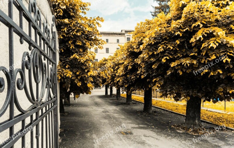 Basic Schoolyard School Courtyard Input Goal