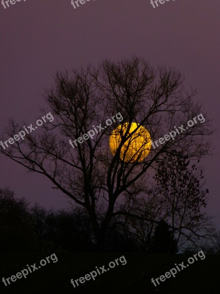 Moon Full Moon Moonrise Evening Twilight