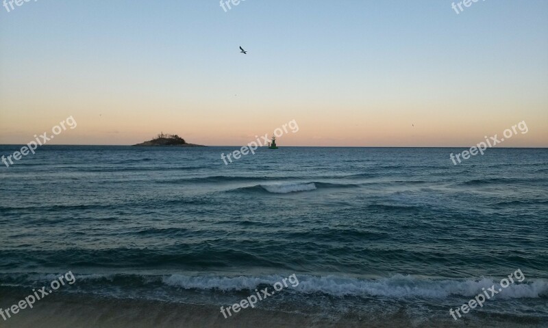 Sea Glow Sky Seagull Winter Sea