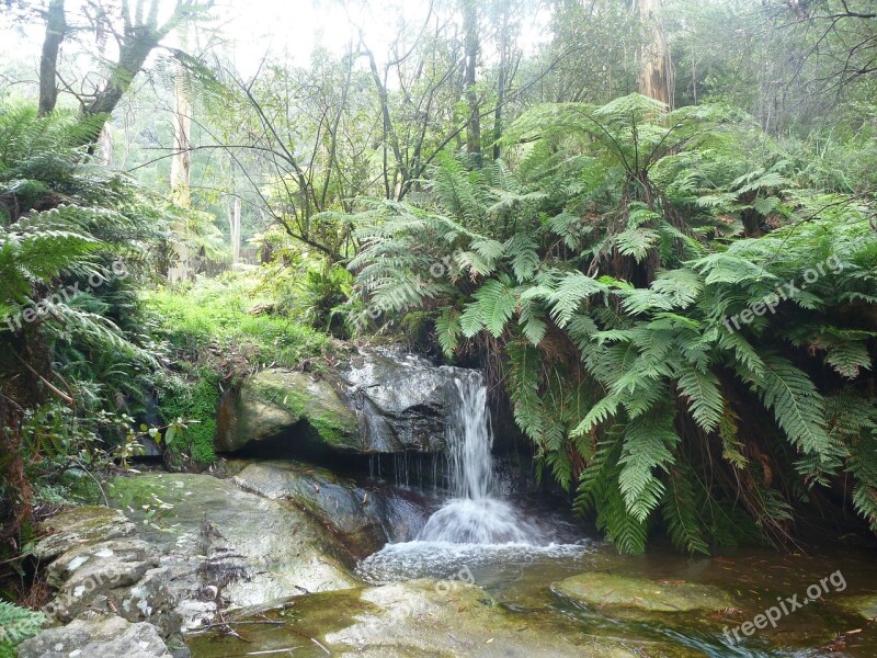 Stream Blue Mountain Water Australia New South Wales